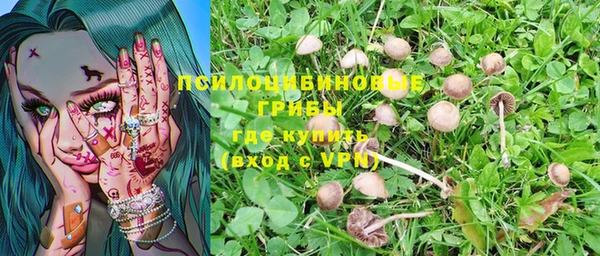 гидра Абдулино