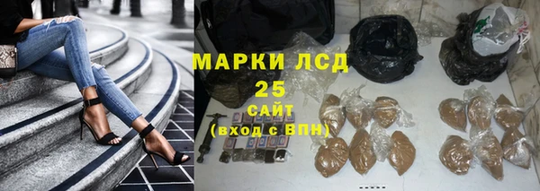 прущие грибы Нефтекумск