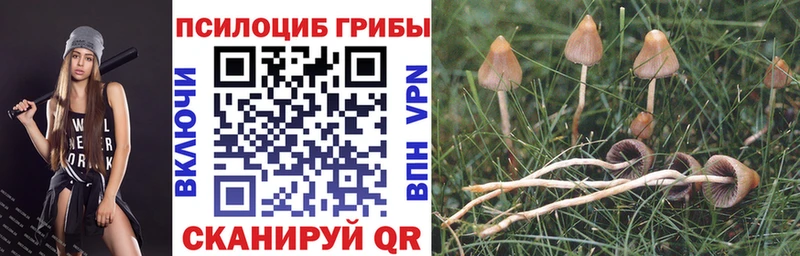 Галлюциногенные грибы MAGIC MUSHROOMS  Усолье 